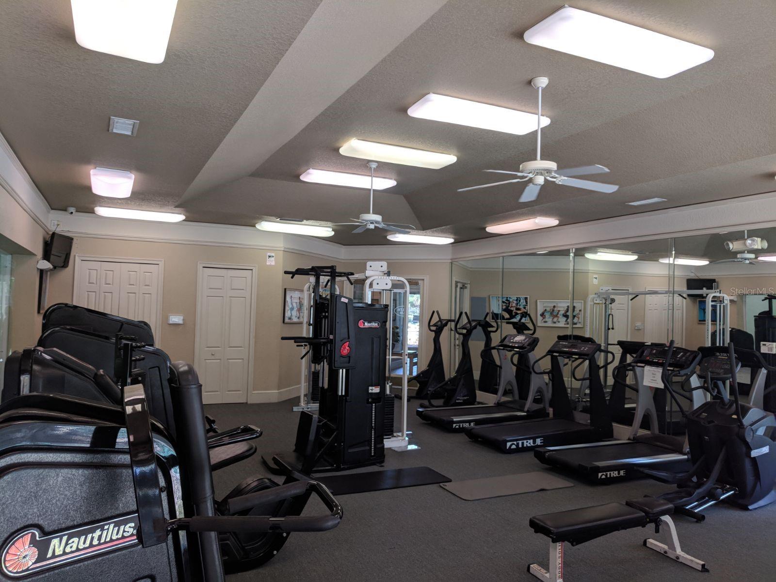 17114 CARRINGTON PARK DR #213, TAMPA, FL, 33647