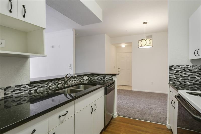 17114 CARRINGTON PARK DR #213, TAMPA, FL, 33647