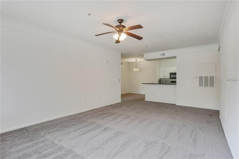 17114 CARRINGTON PARK DR #213, TAMPA, FL, 33647