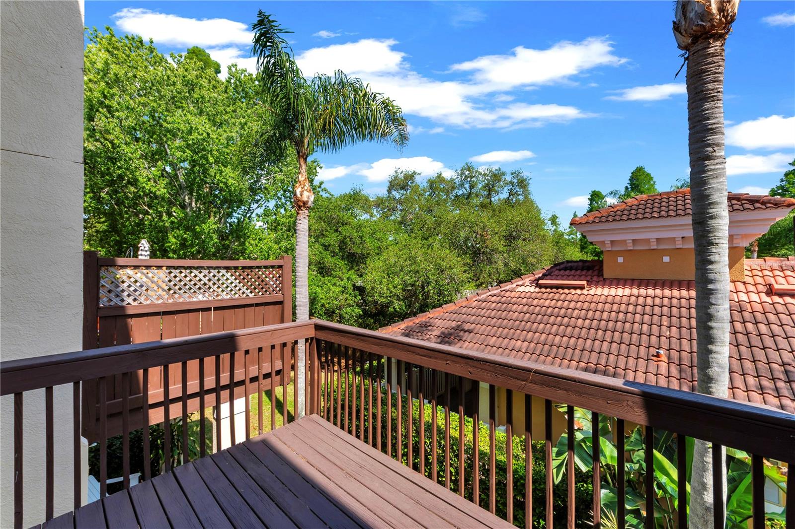 3115 BAYSHORE OAKS DR, TAMPA, FL, 33611