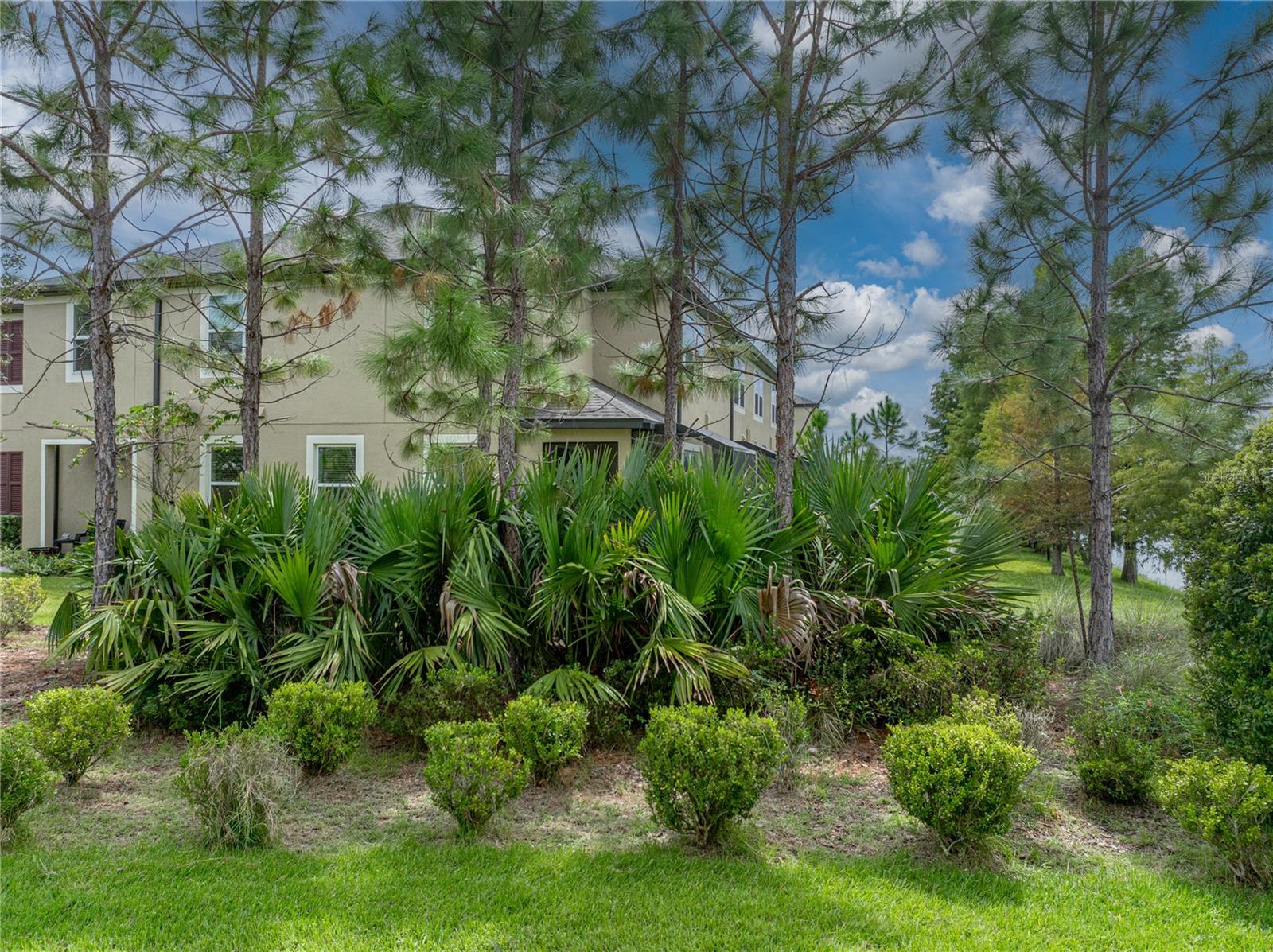 29934 SOUTHWELL LN, WESLEY CHAPEL, FL, 33543