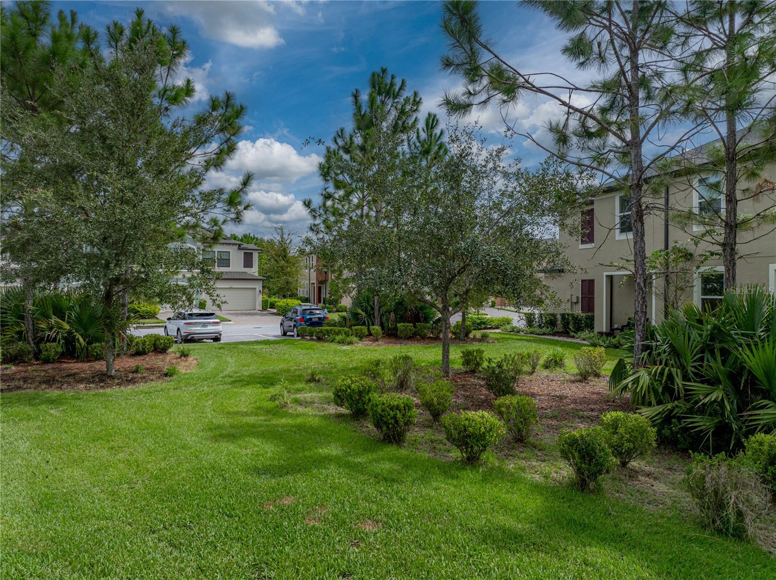 29934 SOUTHWELL LN, WESLEY CHAPEL, FL, 33543