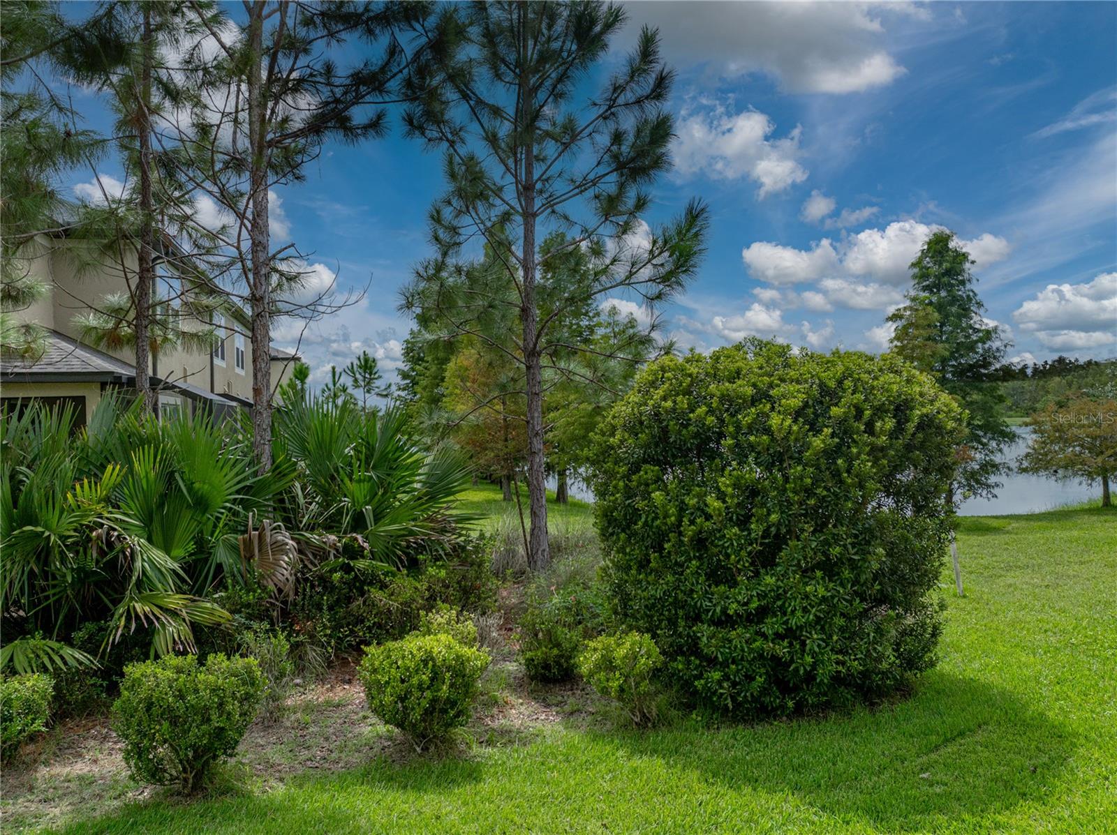 29934 SOUTHWELL LN, WESLEY CHAPEL, FL, 33543