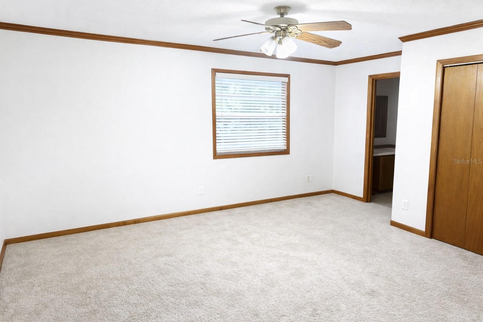 10019 CURLEY RD, SAN ANTONIO, FL, 33576