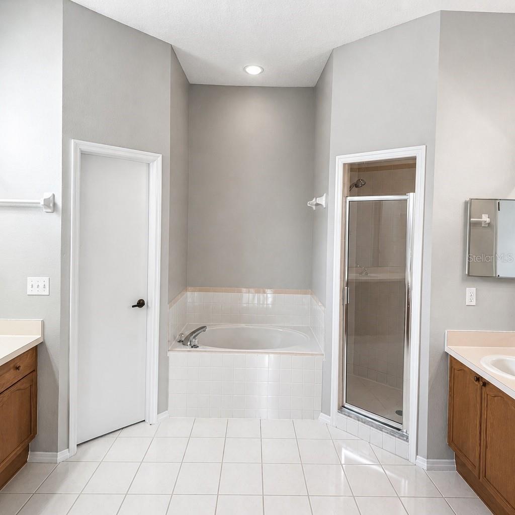 28202 BROKENMEAD PATH, WESLEY CHAPEL, FL, 33543