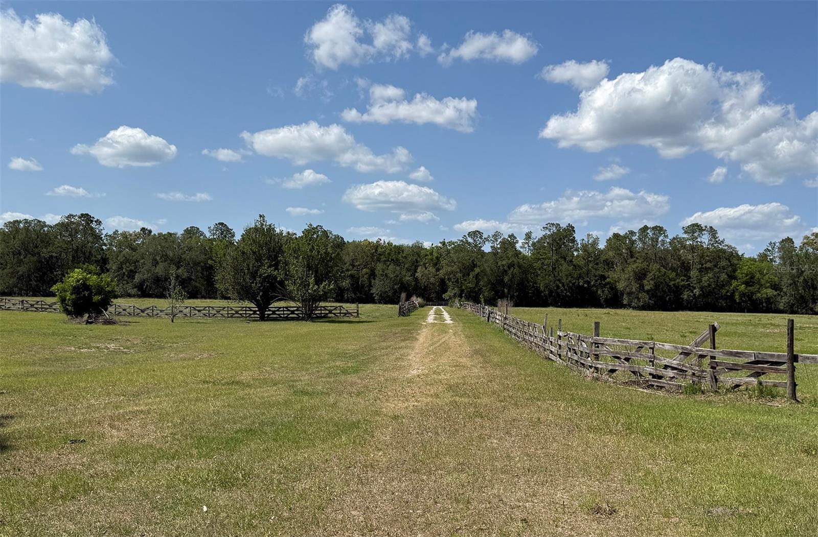 18919 NW 62ND AVE, ALACHUA, FL, 32615