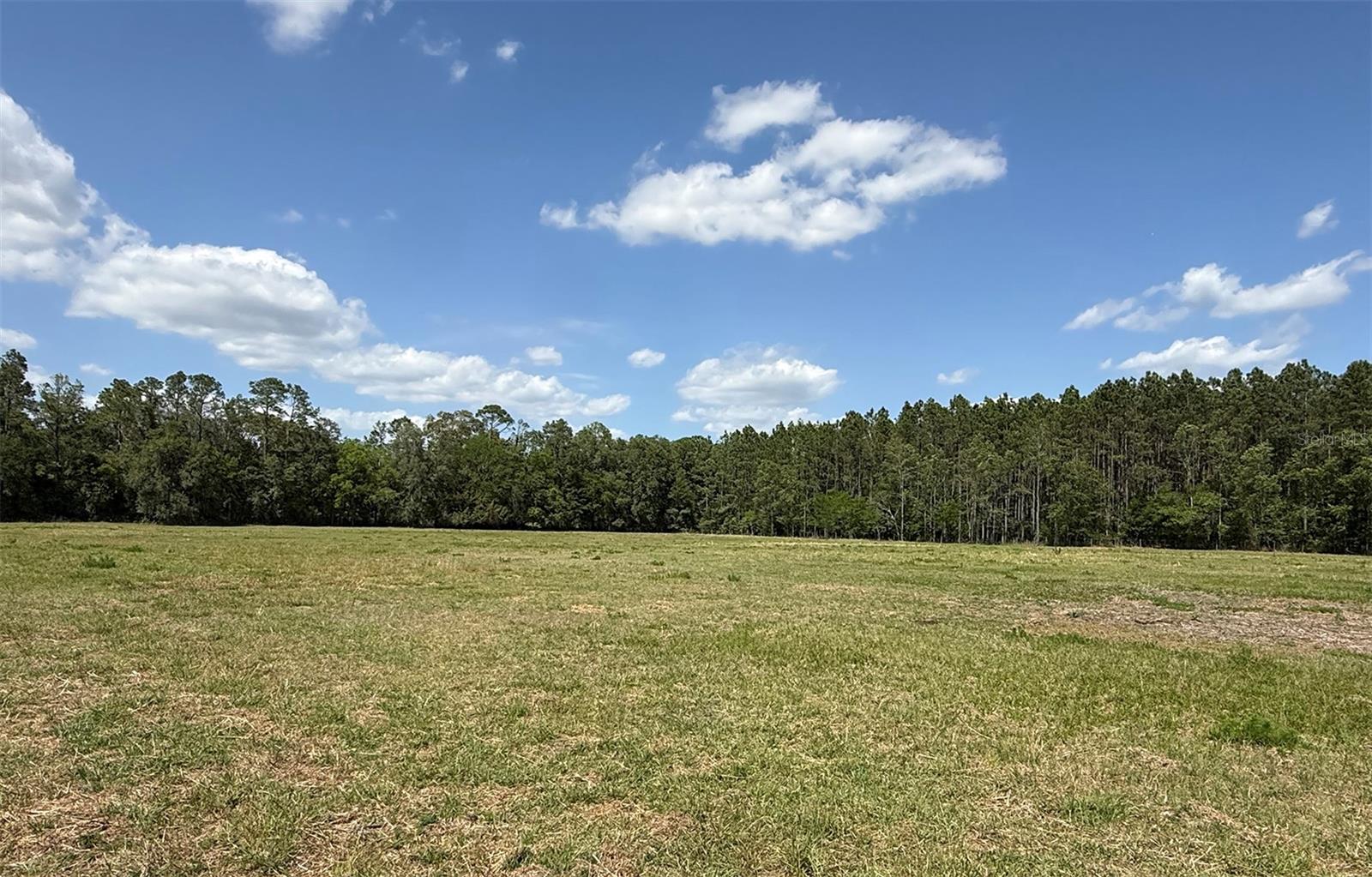 18919 NW 62ND AVE, ALACHUA, FL, 32615
