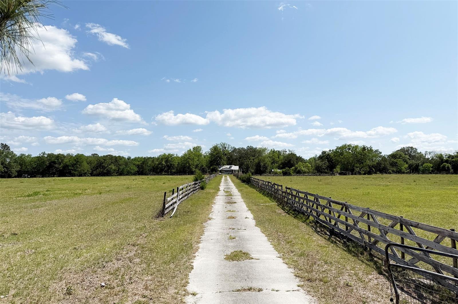 18919 NW 62ND AVE, ALACHUA, FL, 32615