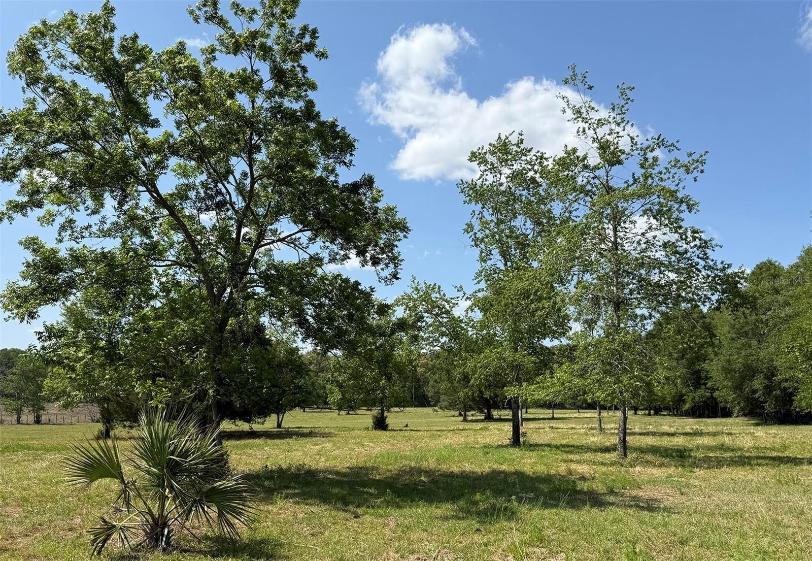 18919 NW 62ND AVE, ALACHUA, FL, 32615