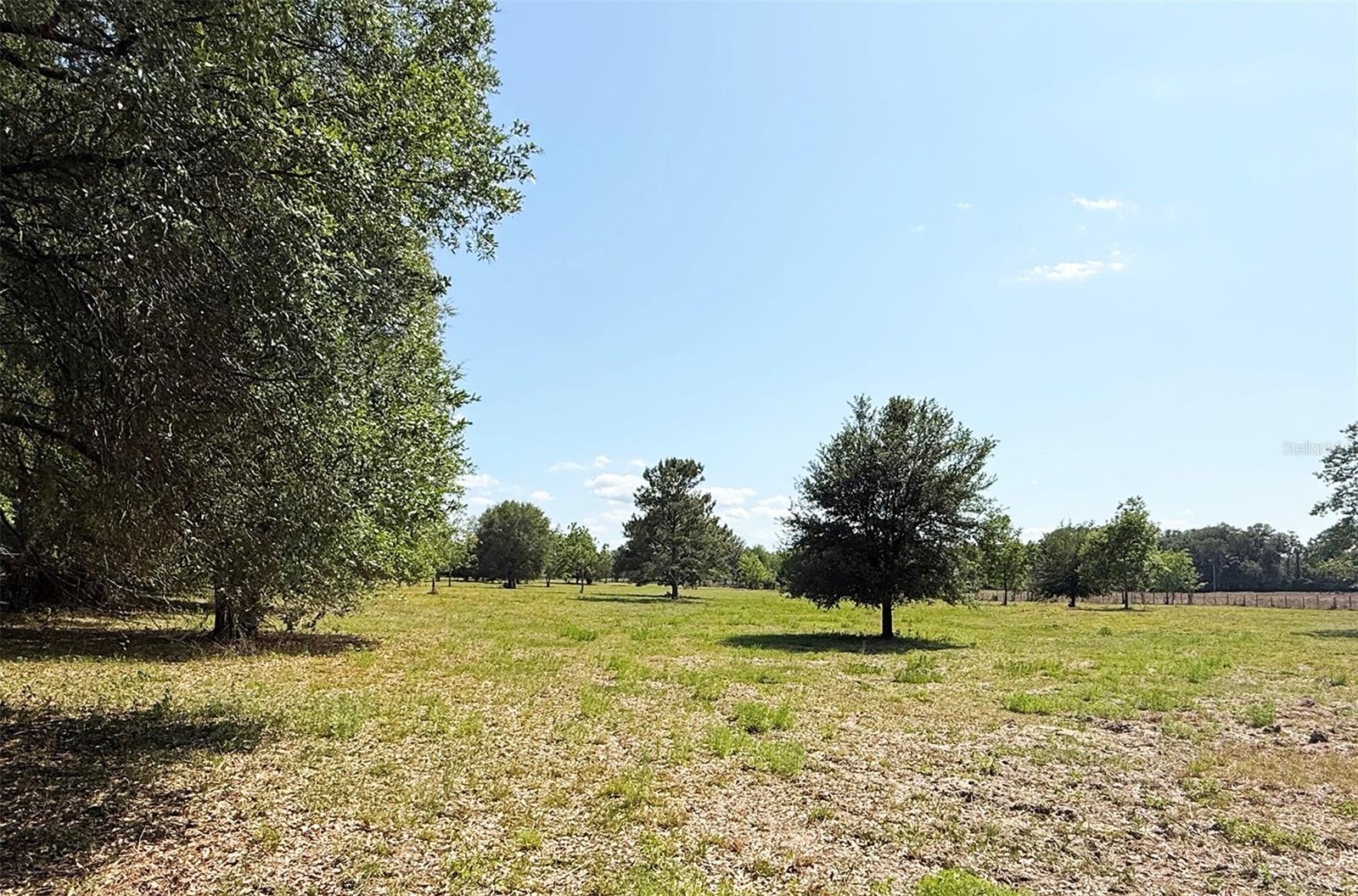 18919 NW 62ND AVE, ALACHUA, FL, 32615
