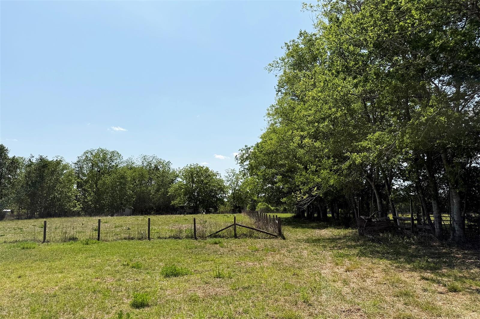 18919 NW 62ND AVE, ALACHUA, FL, 32615