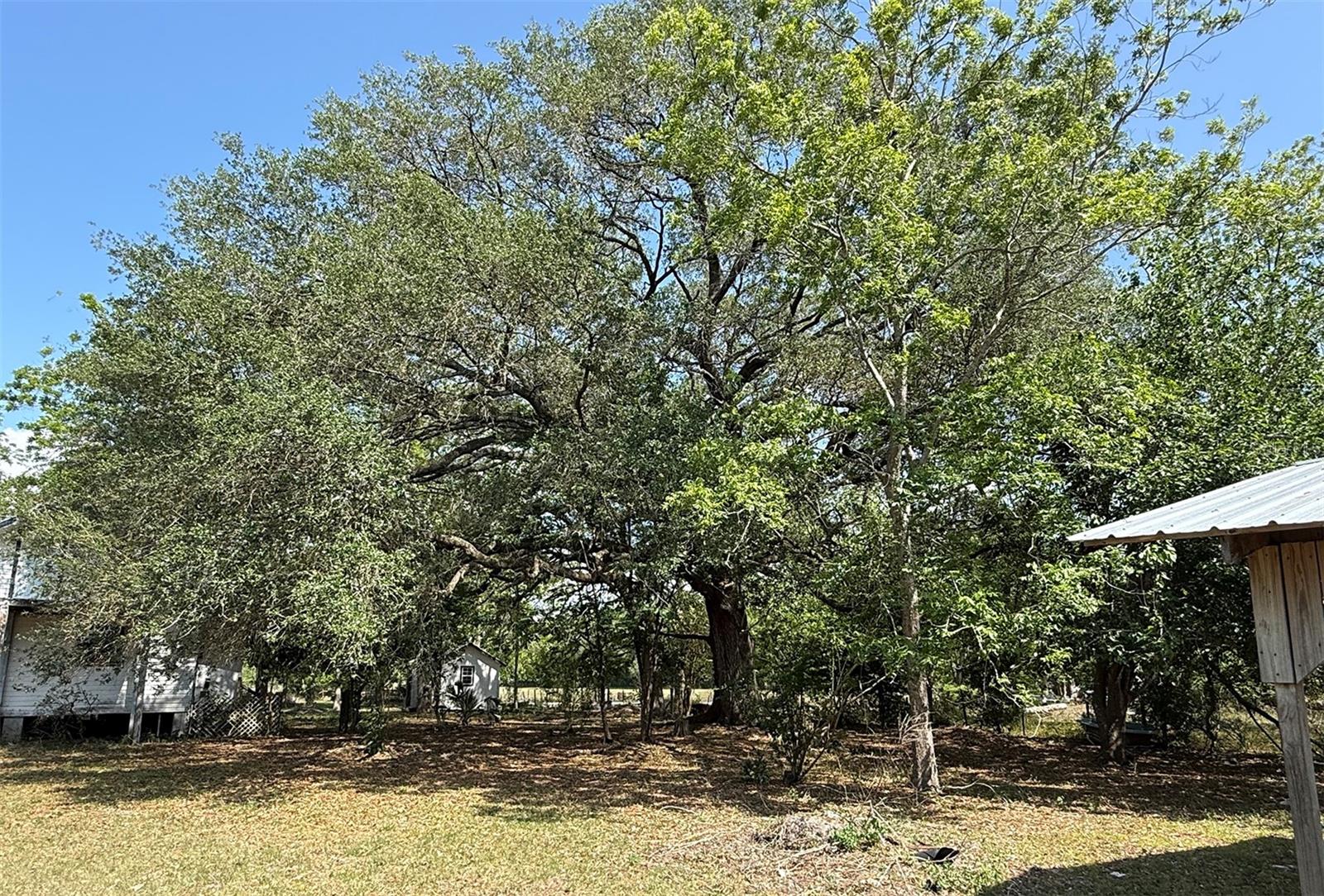 18919 NW 62ND AVE, ALACHUA, FL, 32615