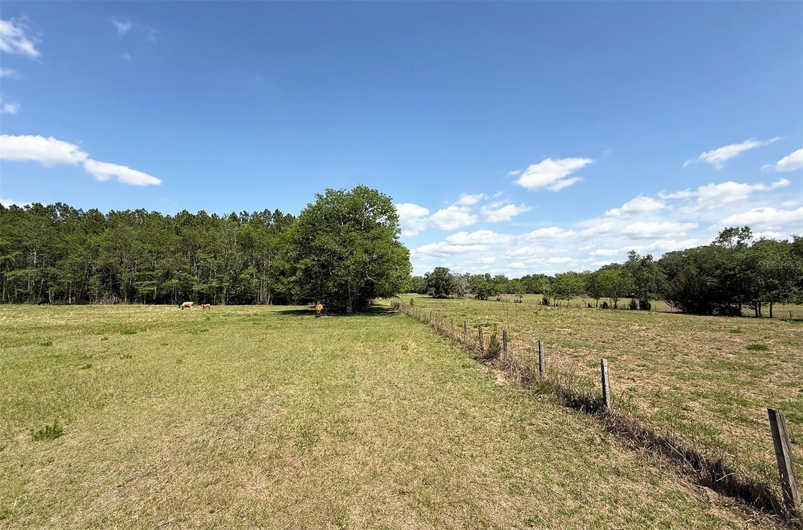 18919 NW 62ND AVE, ALACHUA, FL, 32615