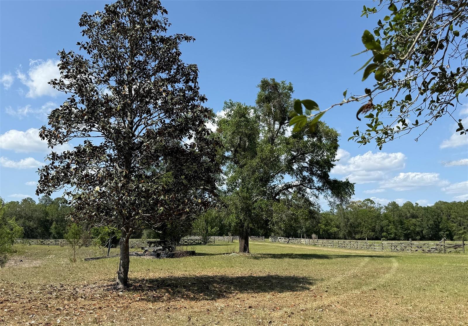18919 NW 62ND AVE, ALACHUA, FL, 32615