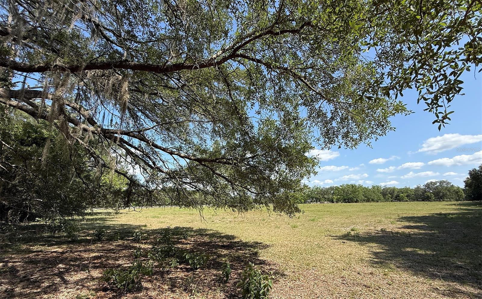 18919 NW 62ND AVE, ALACHUA, FL, 32615