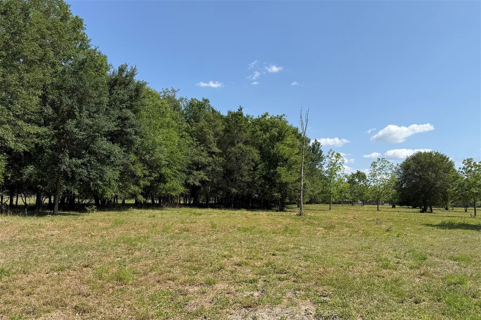 18919 NW 62ND AVE, ALACHUA, FL, 32615