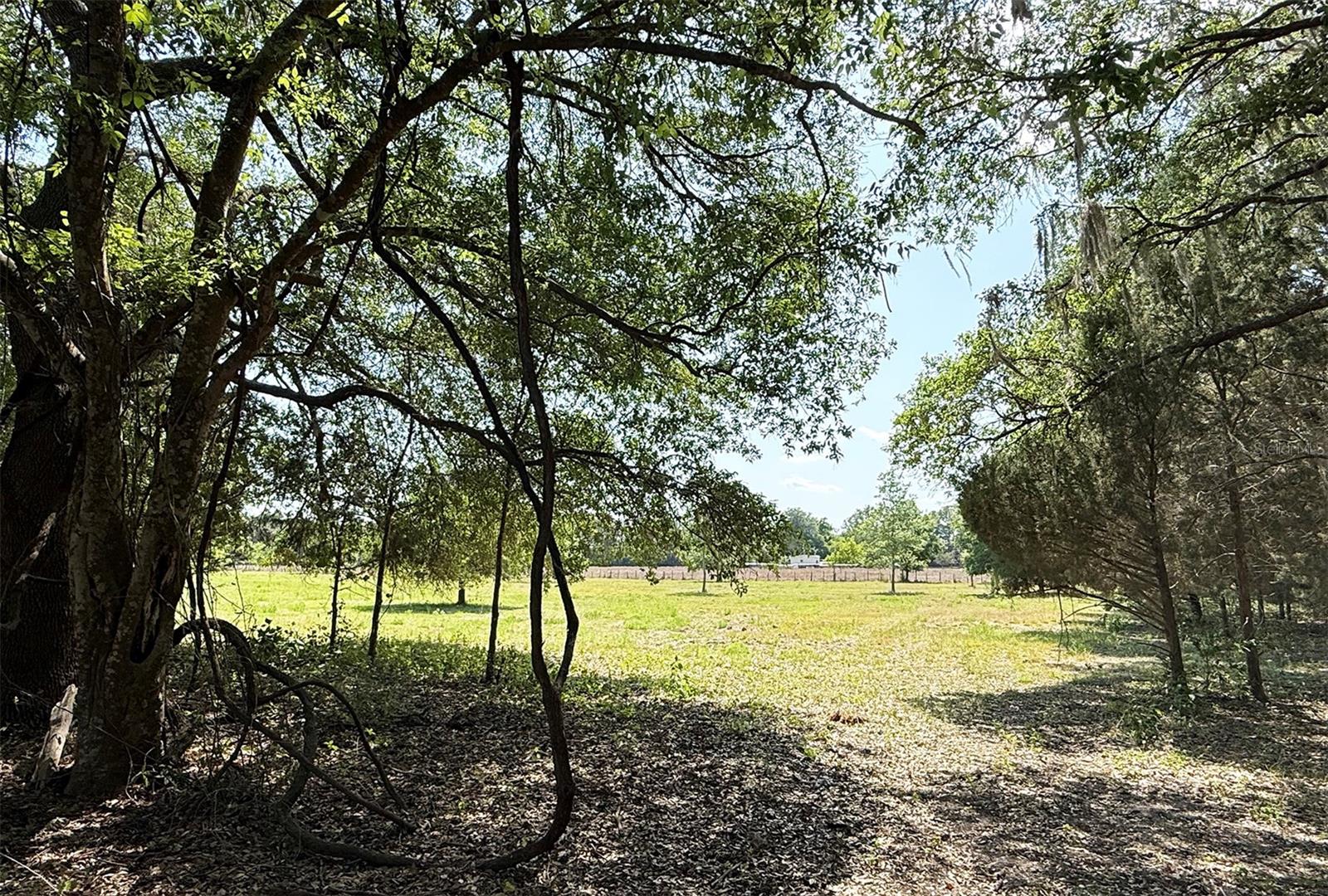 18919 NW 62ND AVE, ALACHUA, FL, 32615