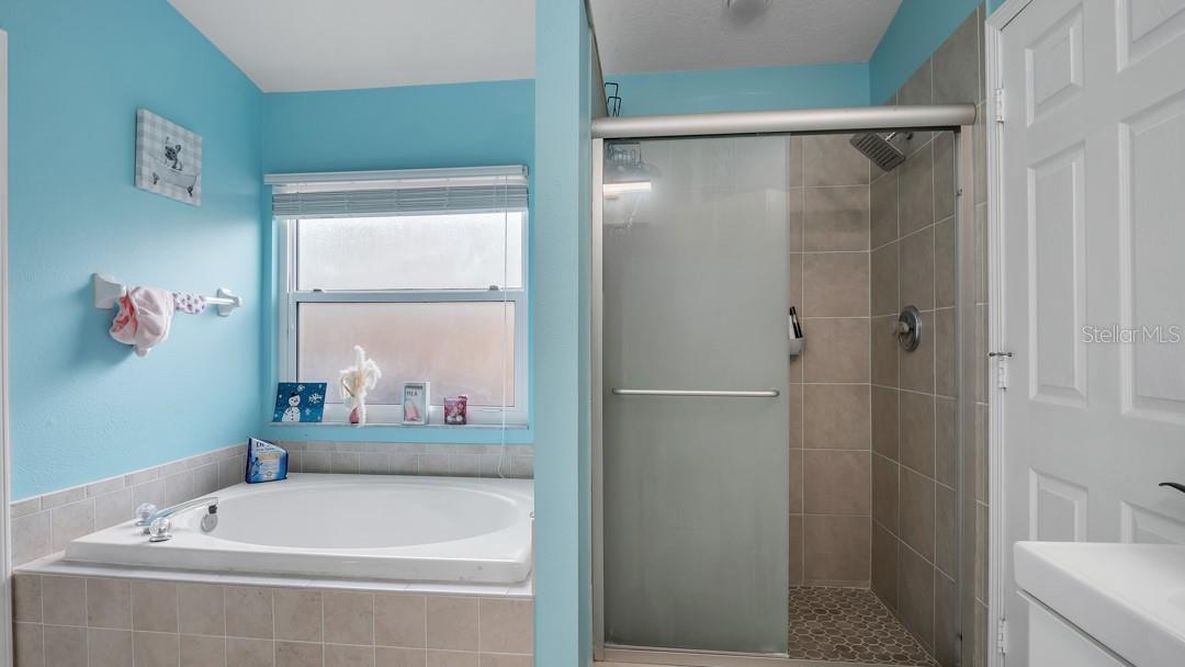 10510 EGRET HAVEN LN, RIVERVIEW, FL, 33578