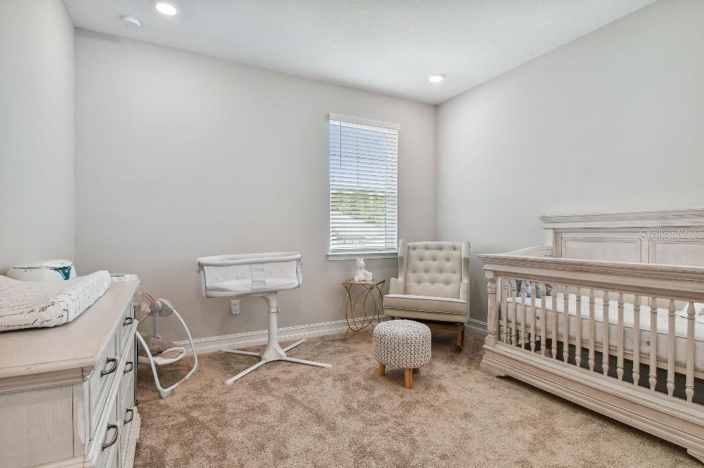 6129 MARSH TRAIL DR, ODESSA, FL, 33556
