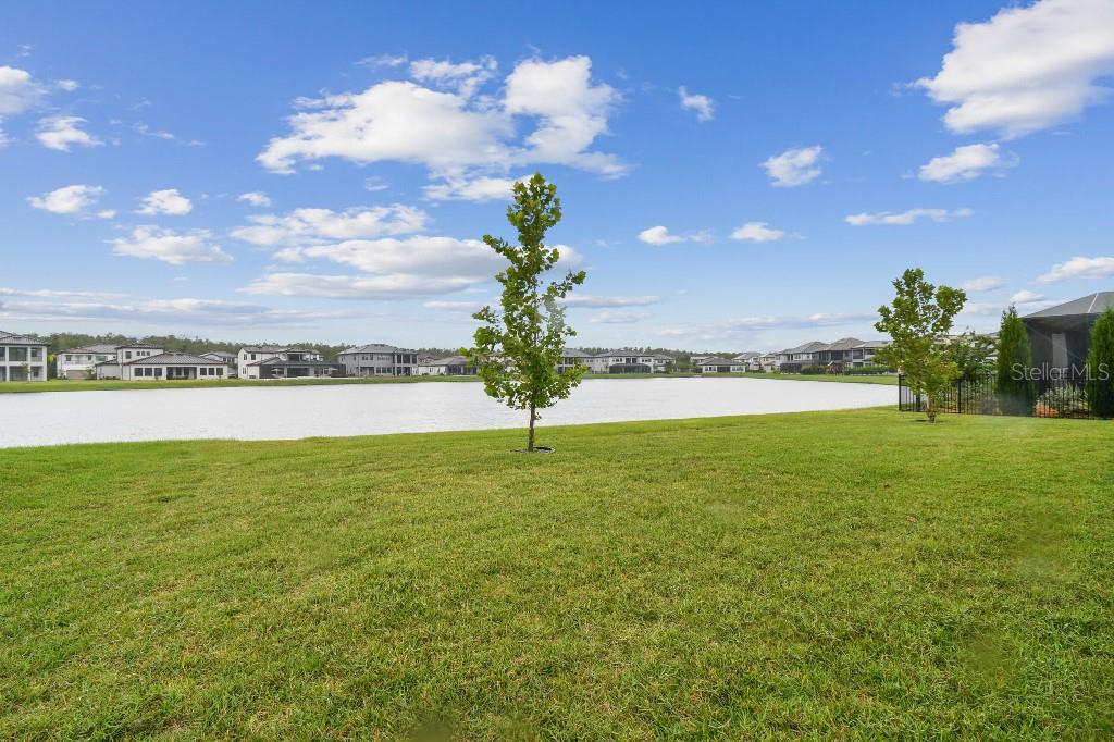 6129 MARSH TRAIL DR, ODESSA, FL, 33556