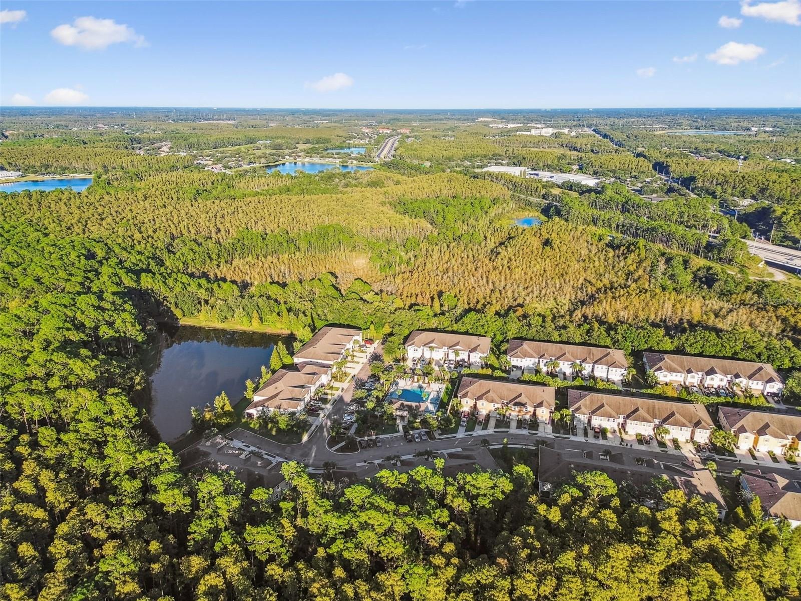 17856 ALTHEA BLUE PL, LUTZ, FL, 33558