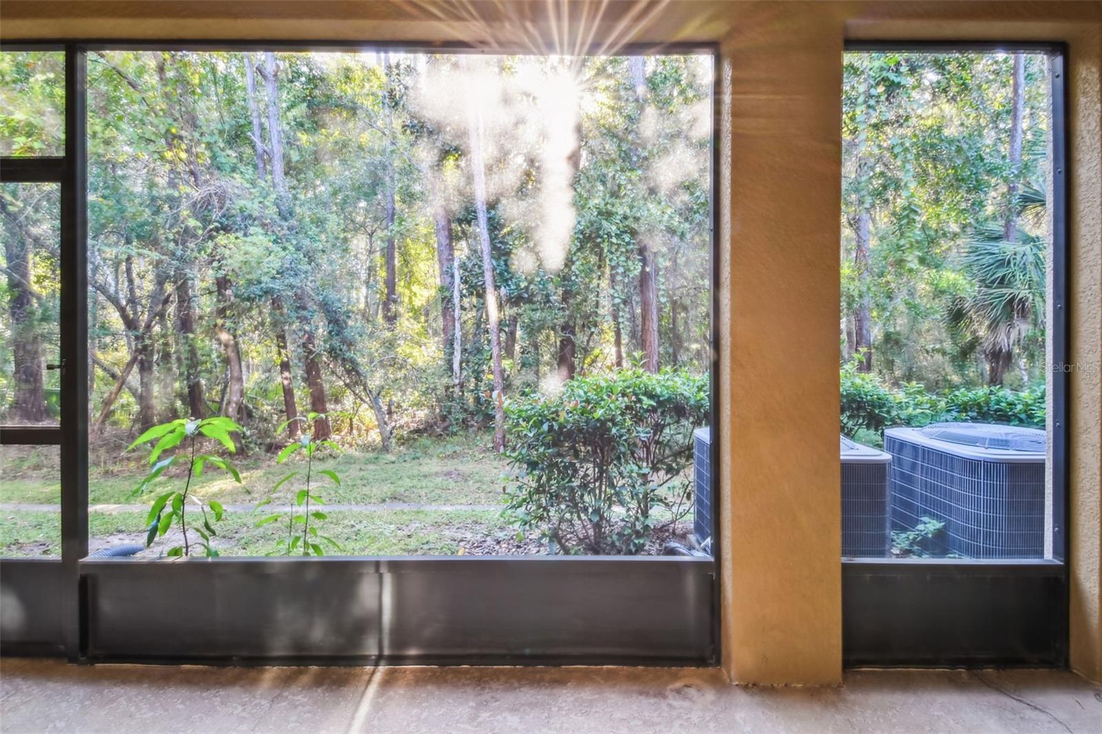 17856 ALTHEA BLUE PL, LUTZ, FL, 33558