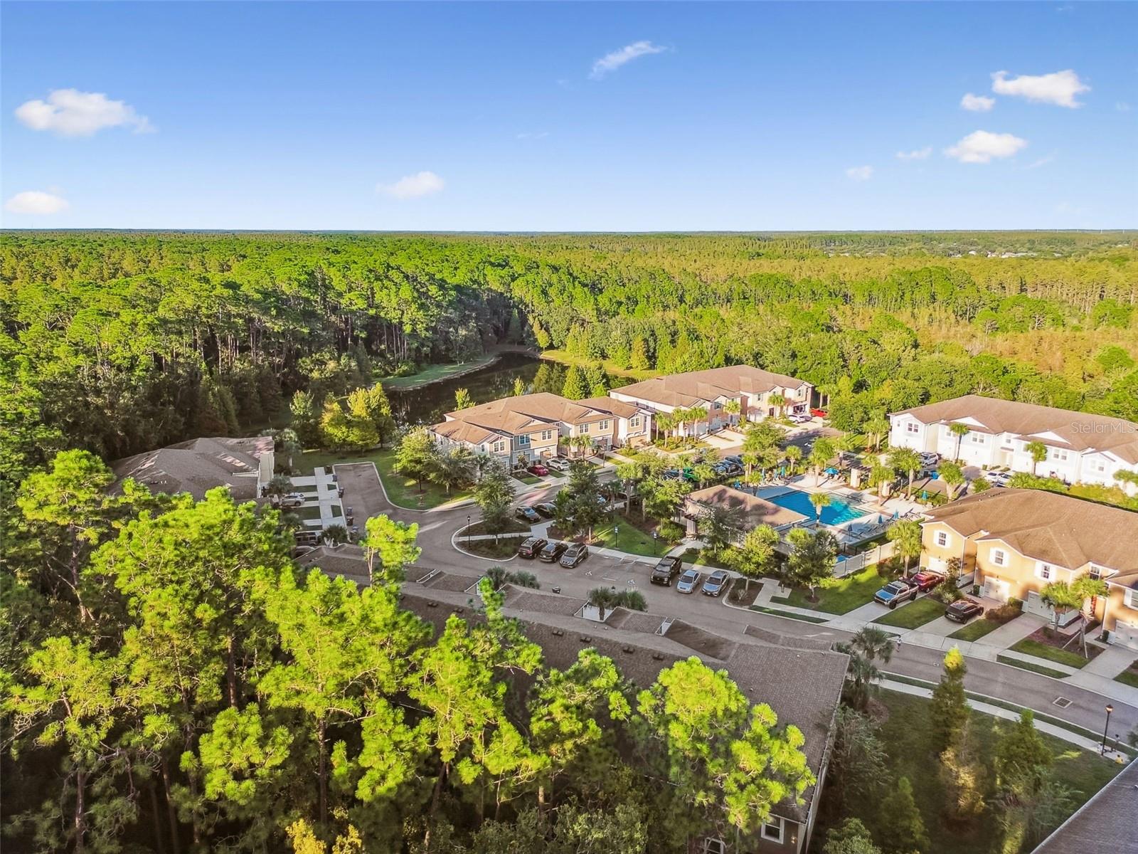 17856 ALTHEA BLUE PL, LUTZ, FL, 33558