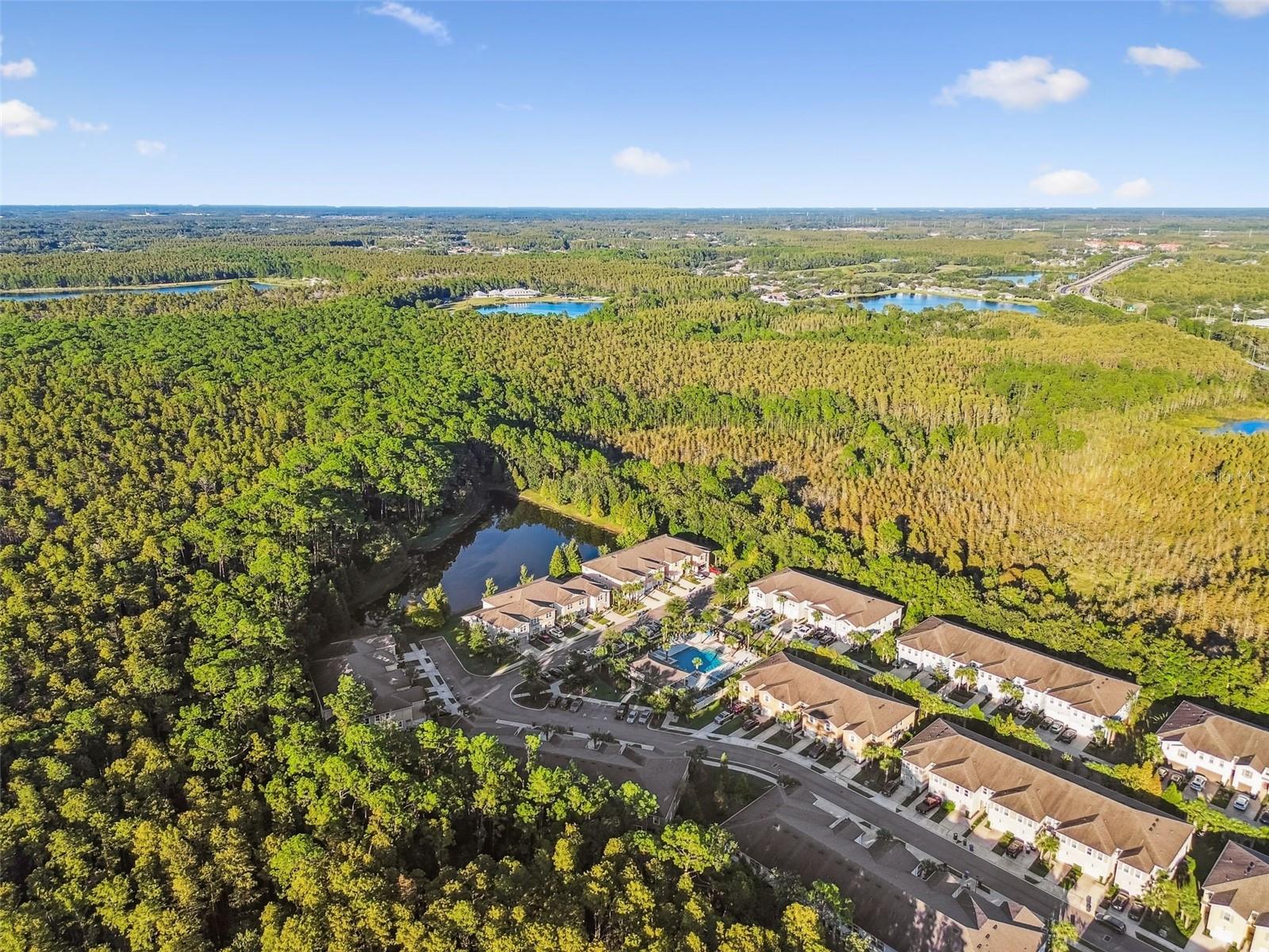 17856 ALTHEA BLUE PL, LUTZ, FL, 33558