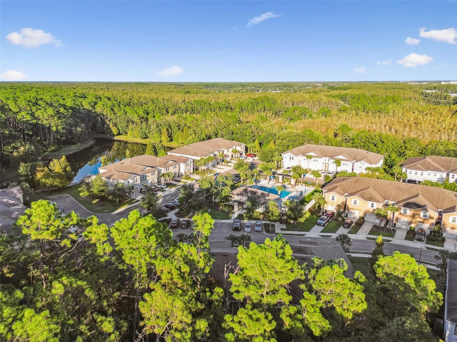 17856 ALTHEA BLUE PL, LUTZ, FL, 33558
