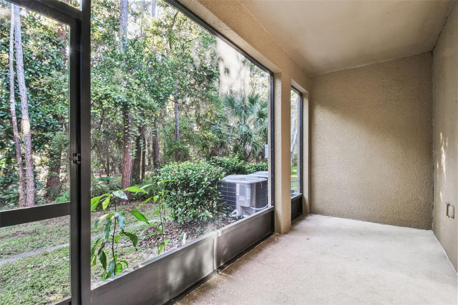17856 ALTHEA BLUE PL, LUTZ, FL, 33558