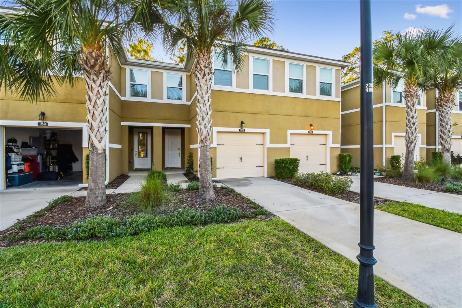 17856 ALTHEA BLUE PL, LUTZ, FL, 33558