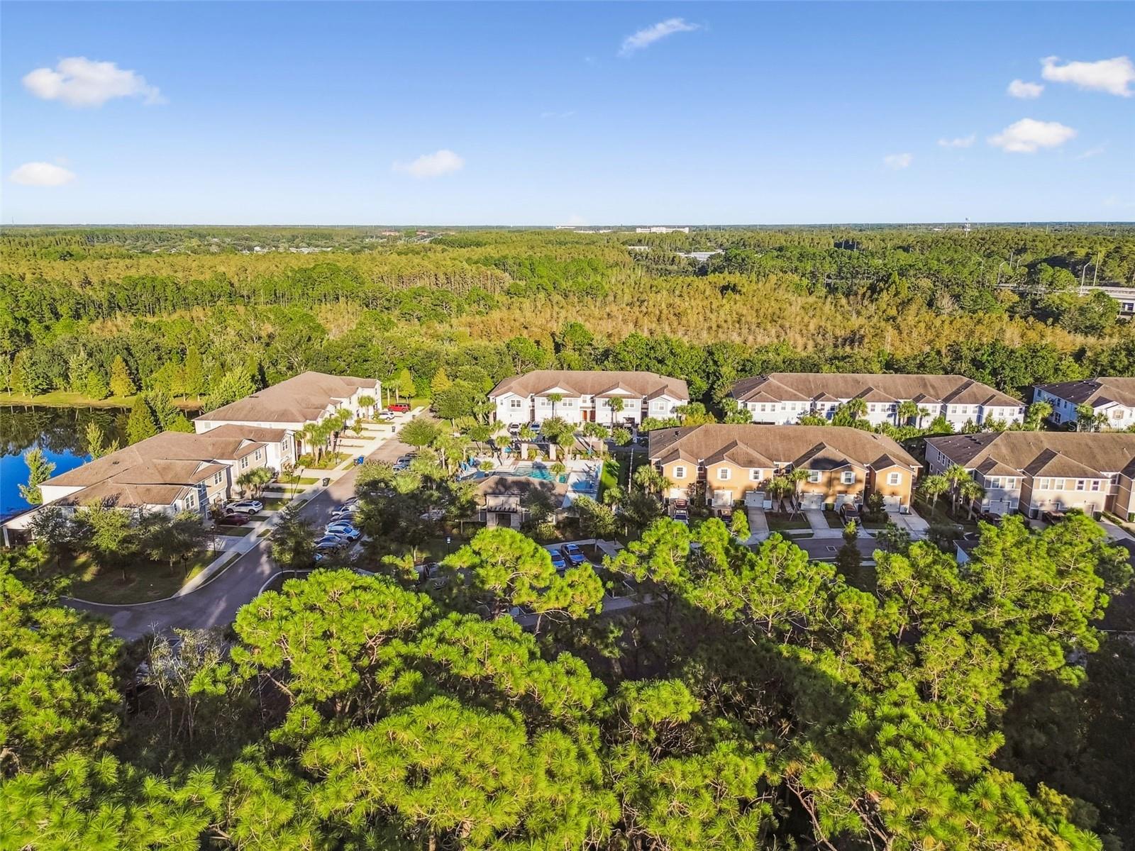 17856 ALTHEA BLUE PL, LUTZ, FL, 33558