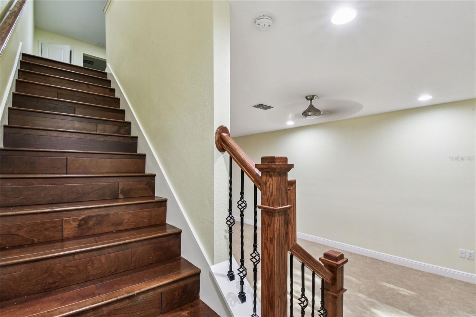 17856 ALTHEA BLUE PL, LUTZ, FL, 33558