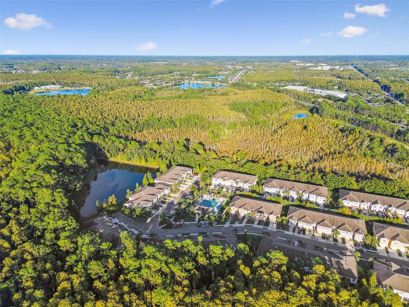 17856 ALTHEA BLUE PL, LUTZ, FL, 33558