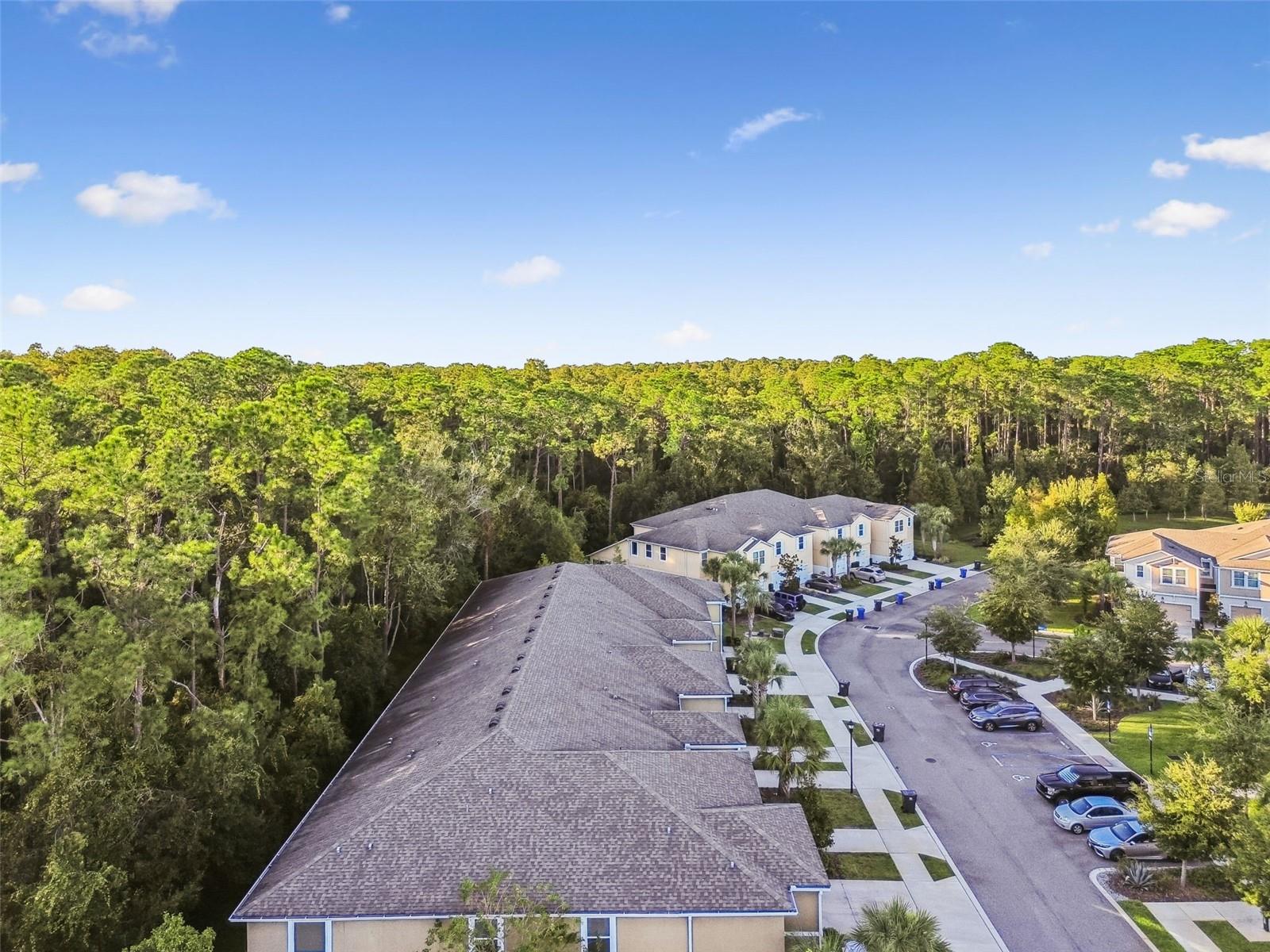 17856 ALTHEA BLUE PL, LUTZ, FL, 33558