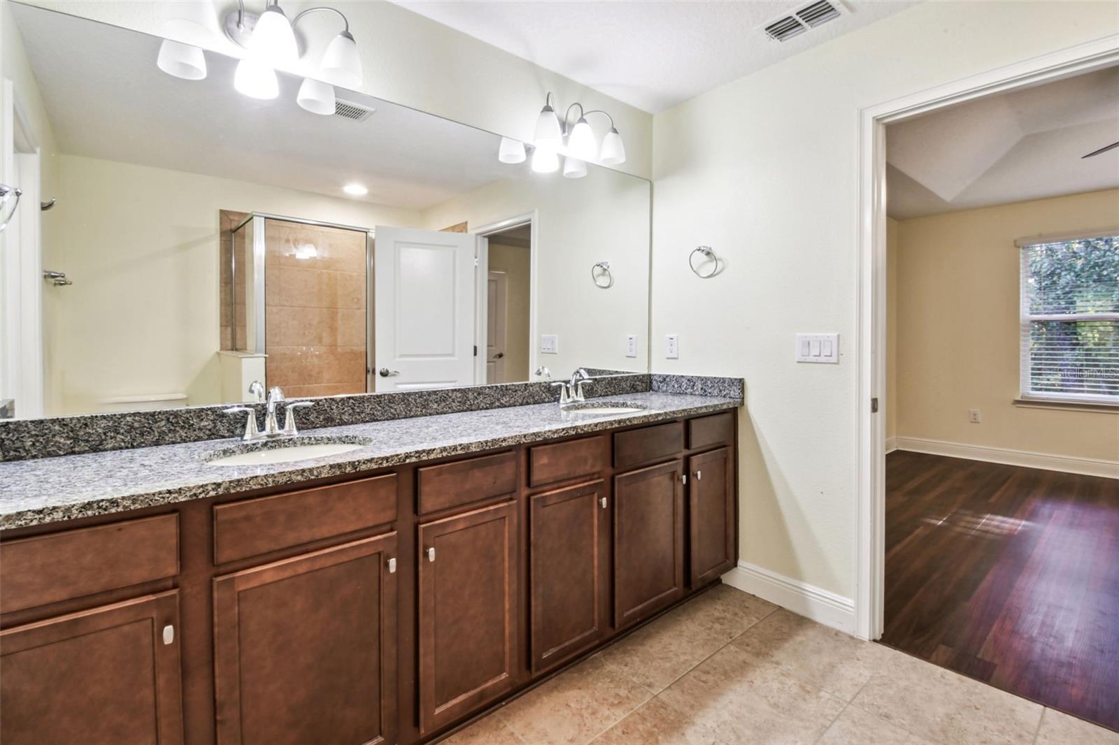 17856 ALTHEA BLUE PL, LUTZ, FL, 33558