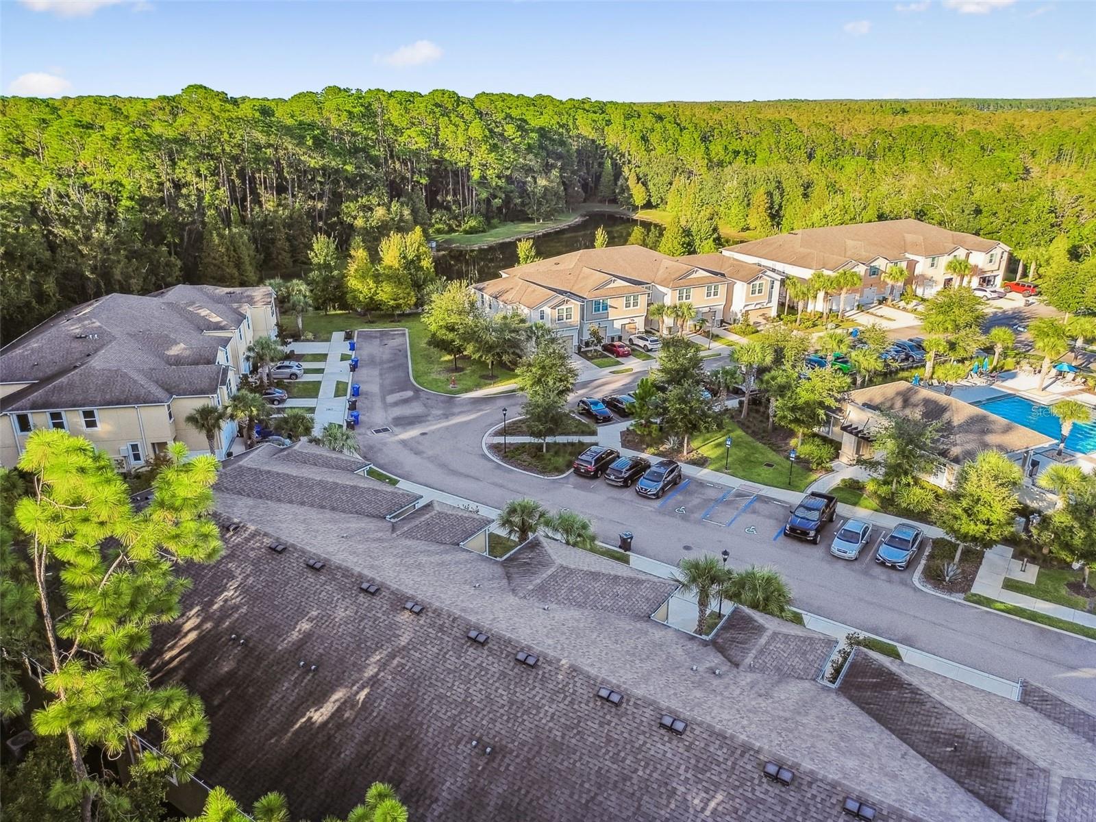 17856 ALTHEA BLUE PL, LUTZ, FL, 33558