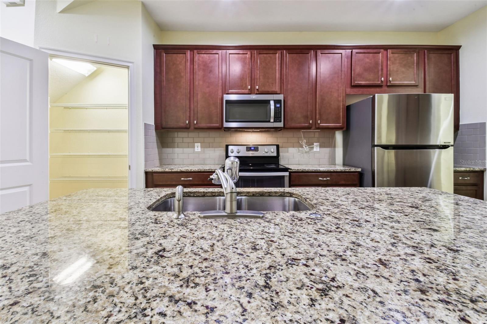17856 ALTHEA BLUE PL, LUTZ, FL, 33558