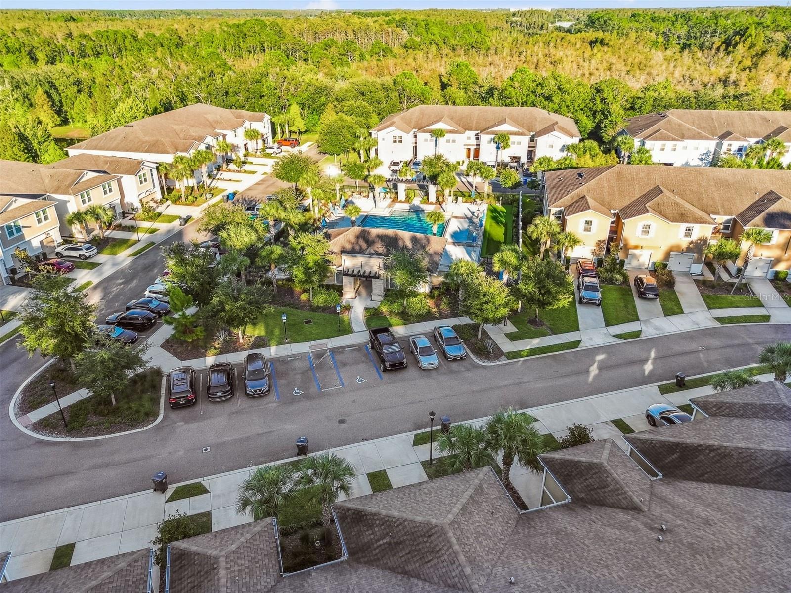 17856 ALTHEA BLUE PL, LUTZ, FL, 33558
