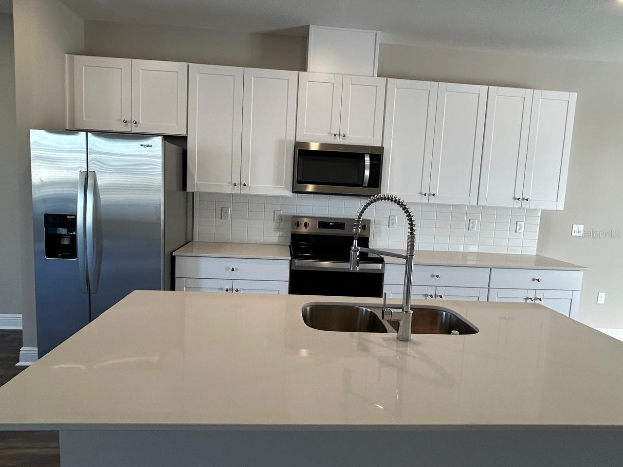 16440 HAMLIN HILLS RD, WINTER GARDEN, FL, 34787