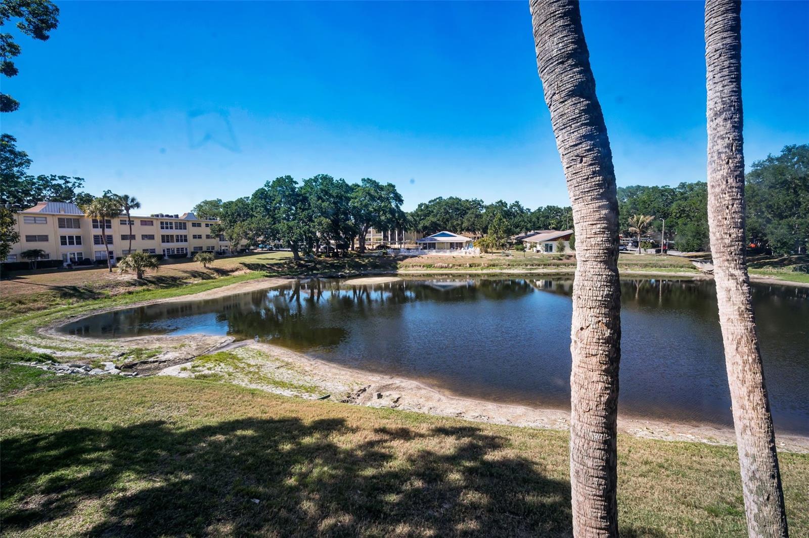 936 VIRGINIA ST #201, DUNEDIN, FL, 34698