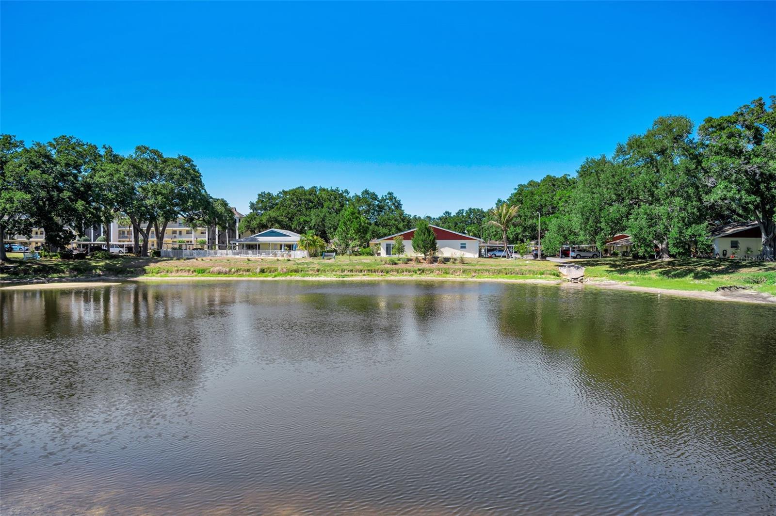 936 VIRGINIA ST #201, DUNEDIN, FL, 34698