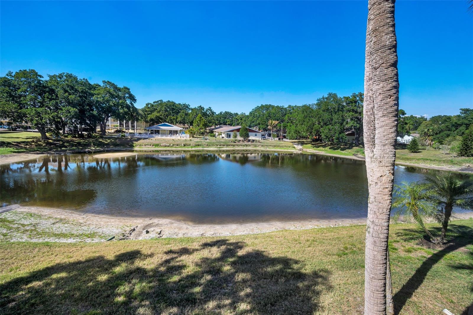 936 VIRGINIA ST #201, DUNEDIN, FL, 34698