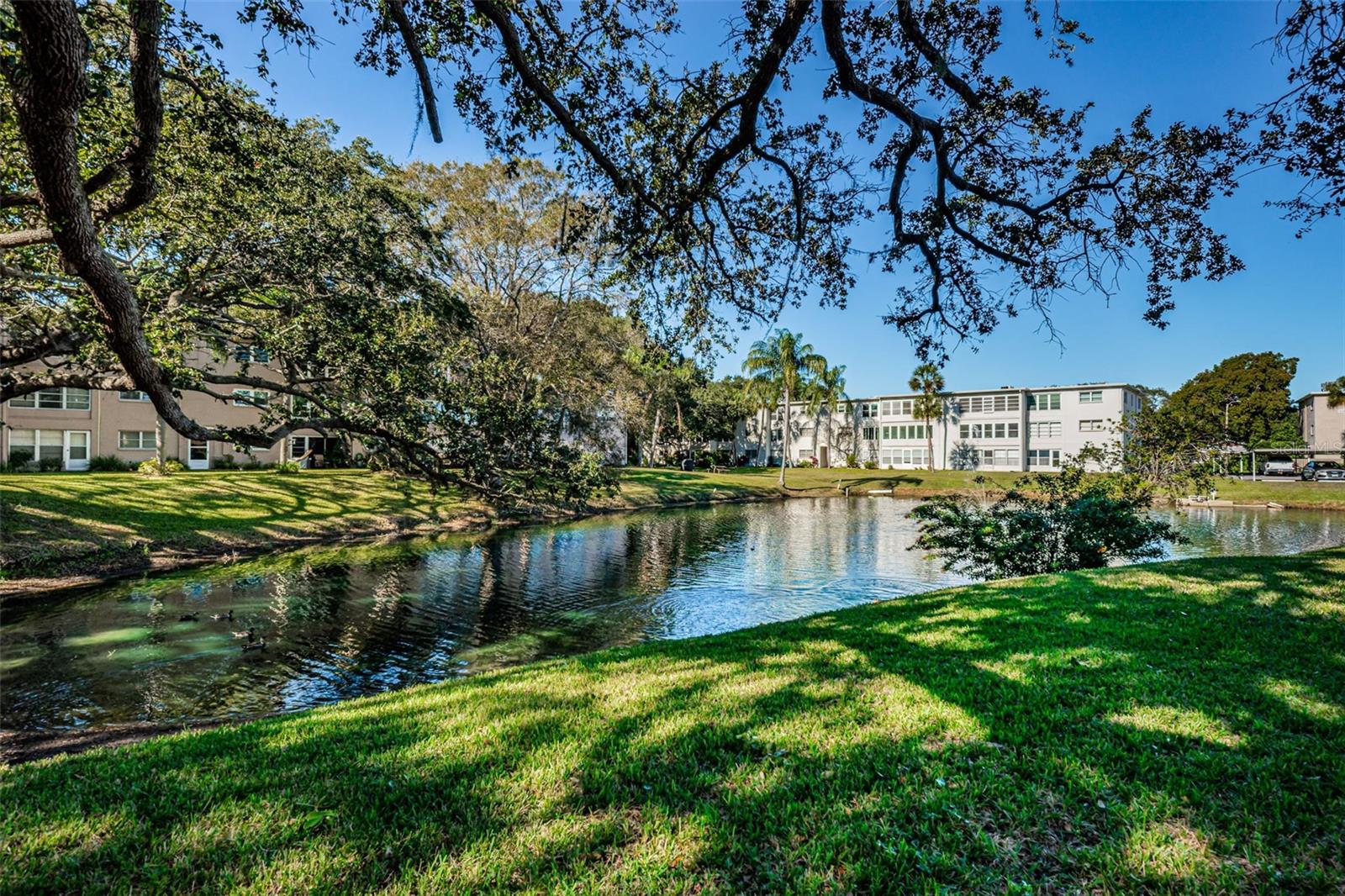 936 VIRGINIA ST #201, DUNEDIN, FL, 34698
