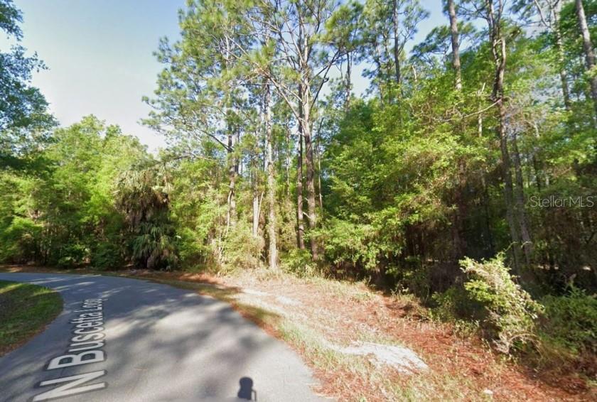 8754 N BUSCETTA LOOP, CRYSTAL RIVER, FL, 34428