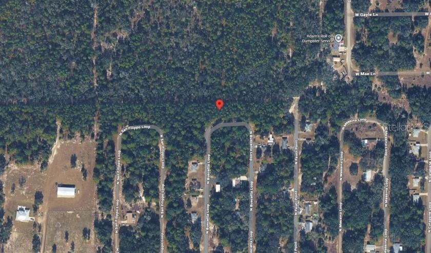 8754 N BUSCETTA LOOP, CRYSTAL RIVER, FL, 34428
