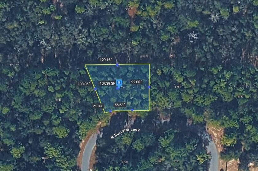 8754 N BUSCETTA LOOP, CRYSTAL RIVER, FL, 34428
