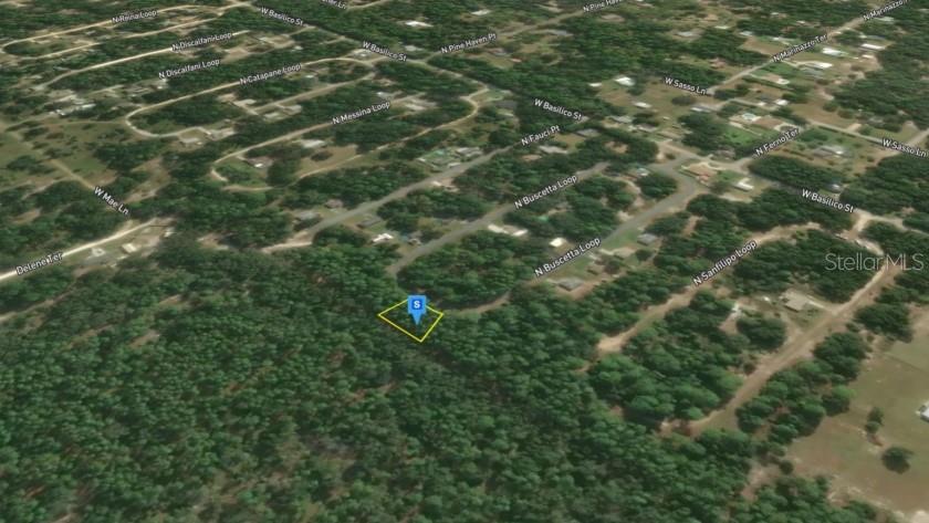 8754 N BUSCETTA LOOP, CRYSTAL RIVER, FL, 34428