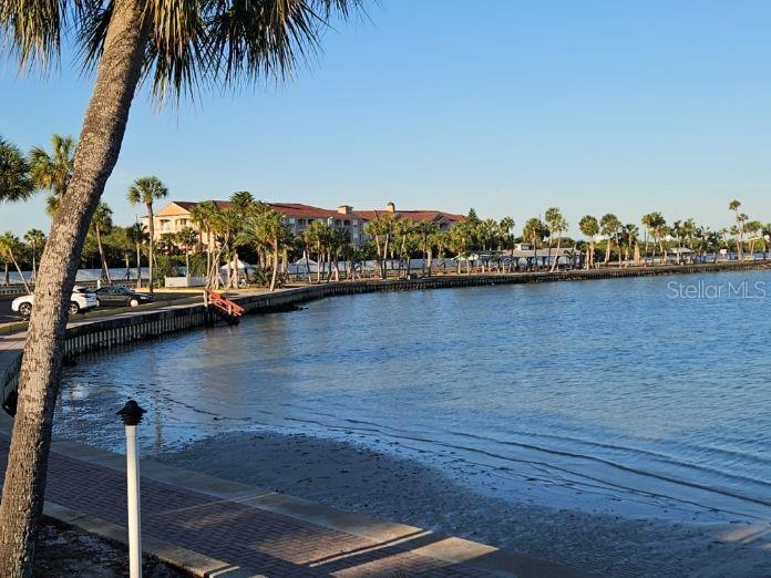 4851 W GANDY BLVD #B7L13, TAMPA, FL, 33611