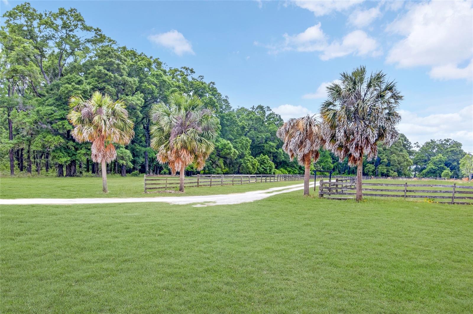 27084 29 RD, BRANFORD, FL, 32008